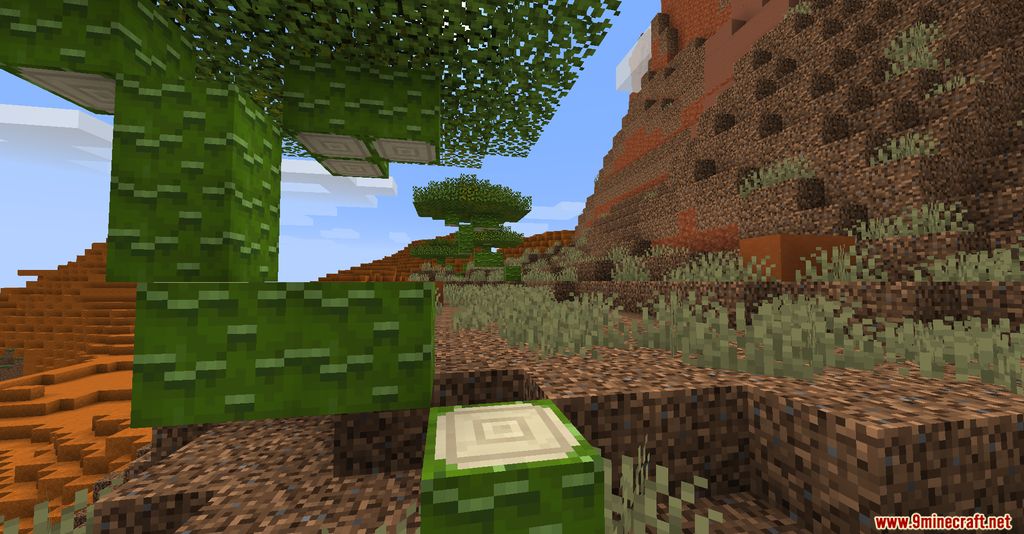 Biomes Youll Go Mod Screenshots 4