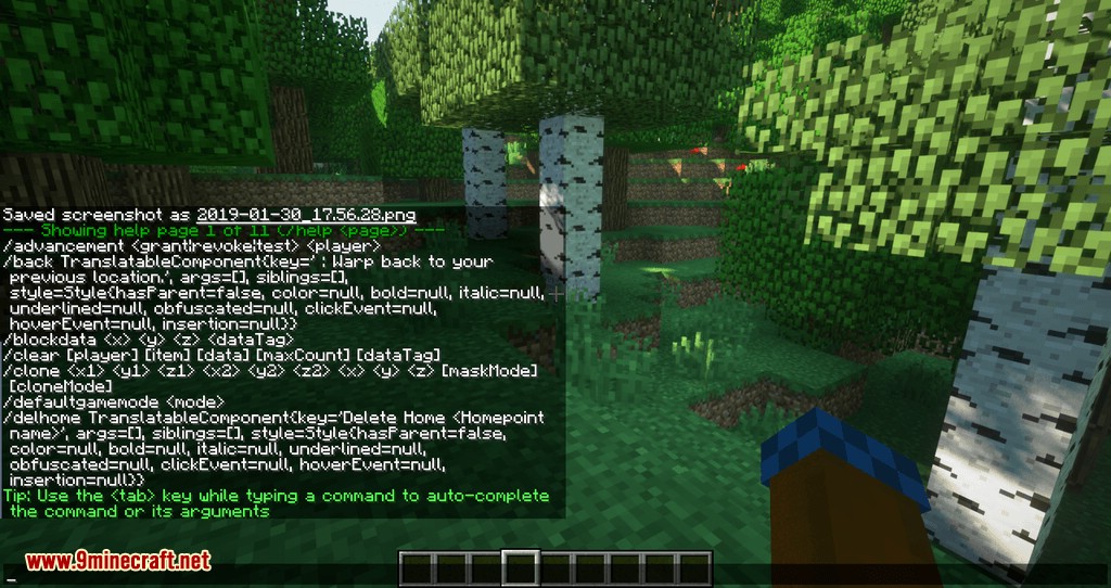 Mycommands mod for minecraft 04