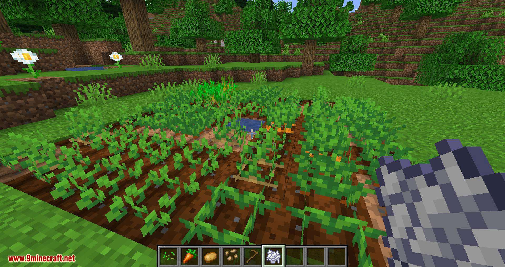 Replanting Crops mod for minecraft 02