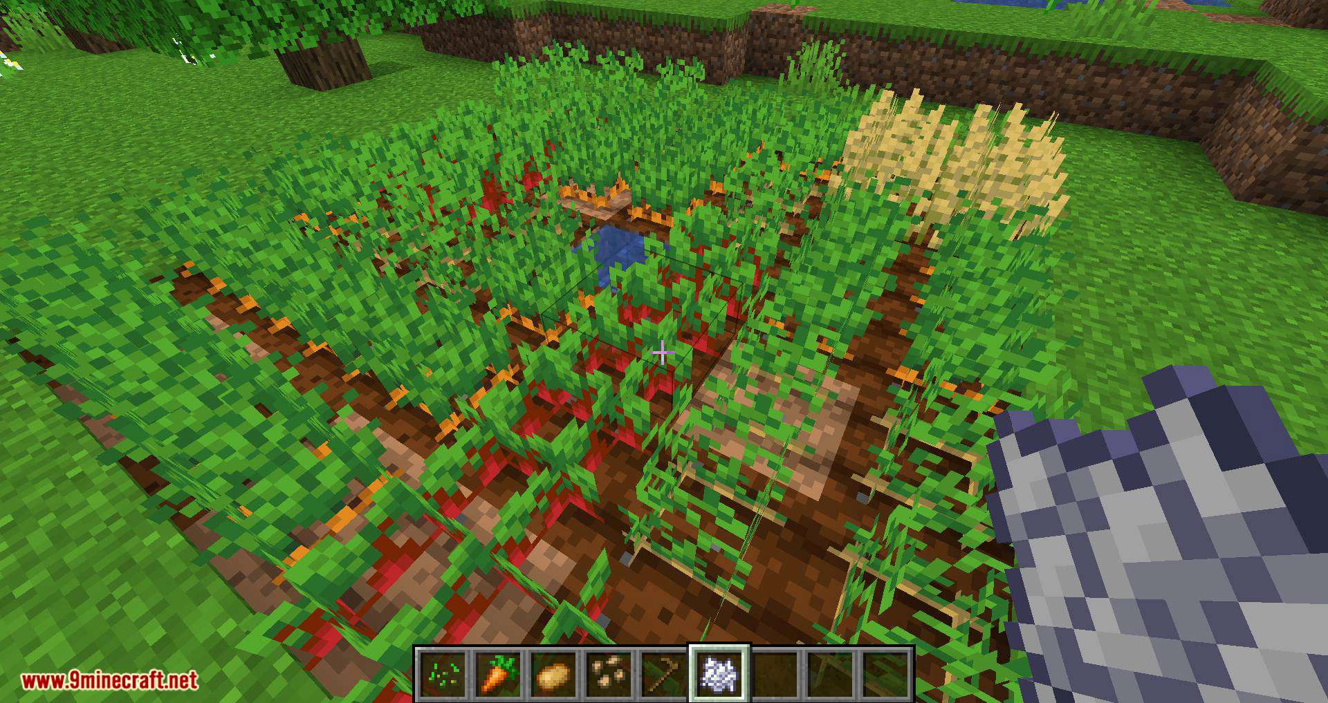 Replanting Crops mod for minecraft 04