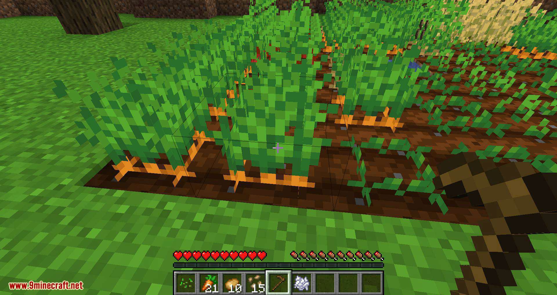 Replanting Crops mod for minecraft 09