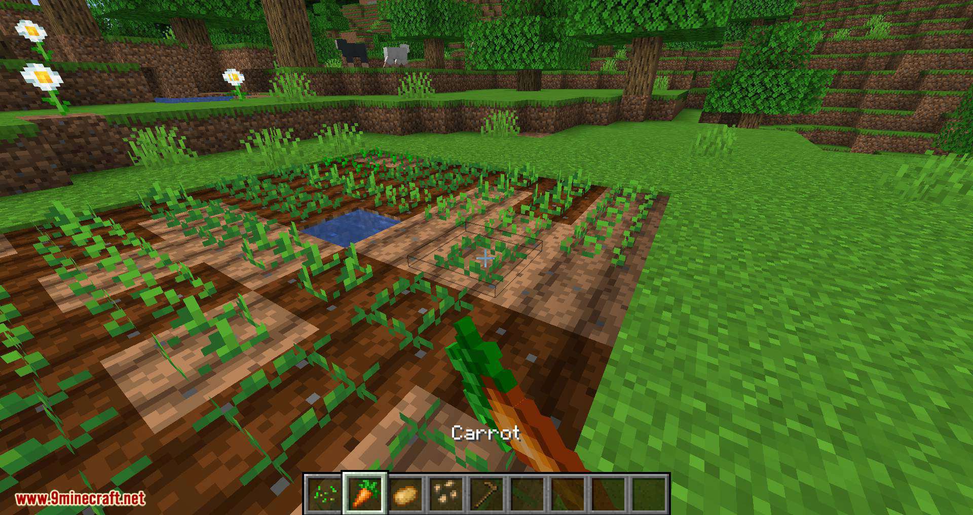Replanting Crops mod for minecraft 01
