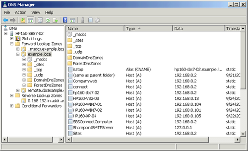 dns forward and reverse lookup dns forward and reverse lookup