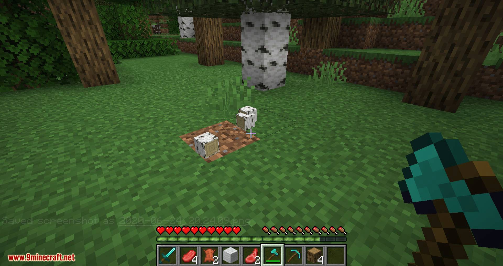 Better Dropped Items mod for minecraft 07