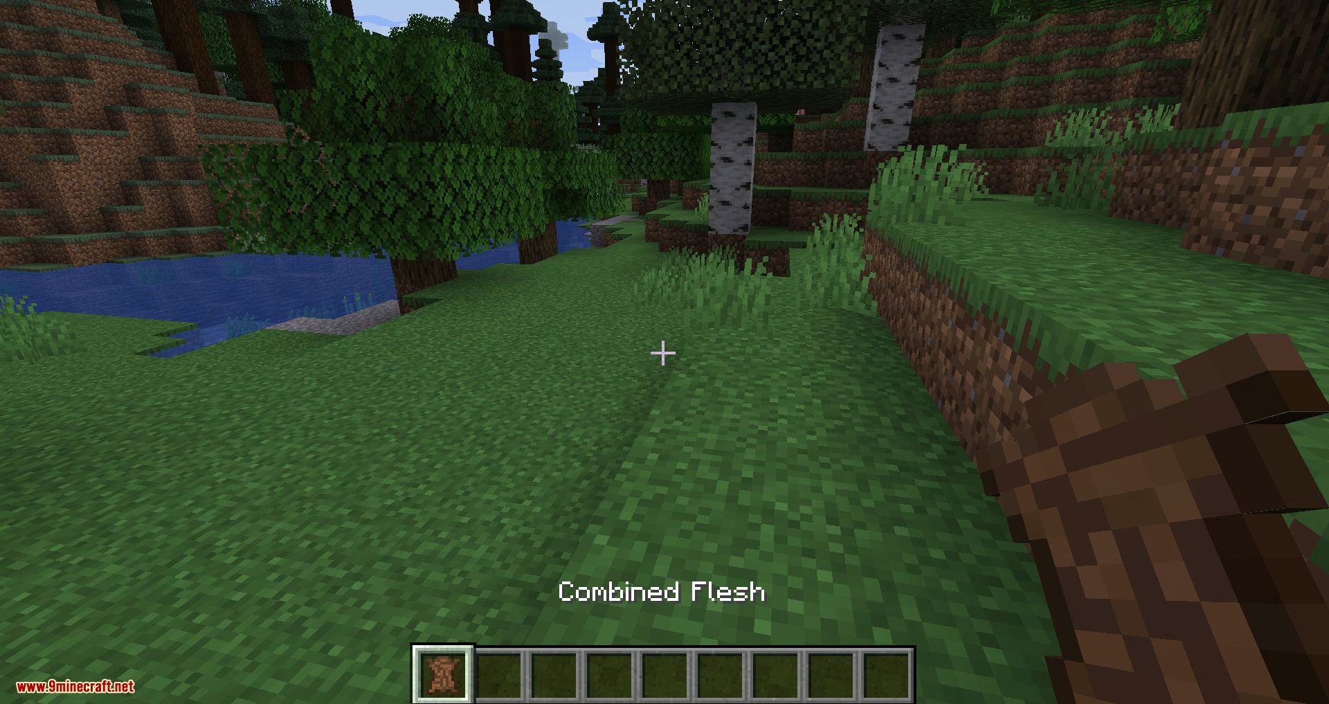 Flesh 2 Leather mod for minecraft 01