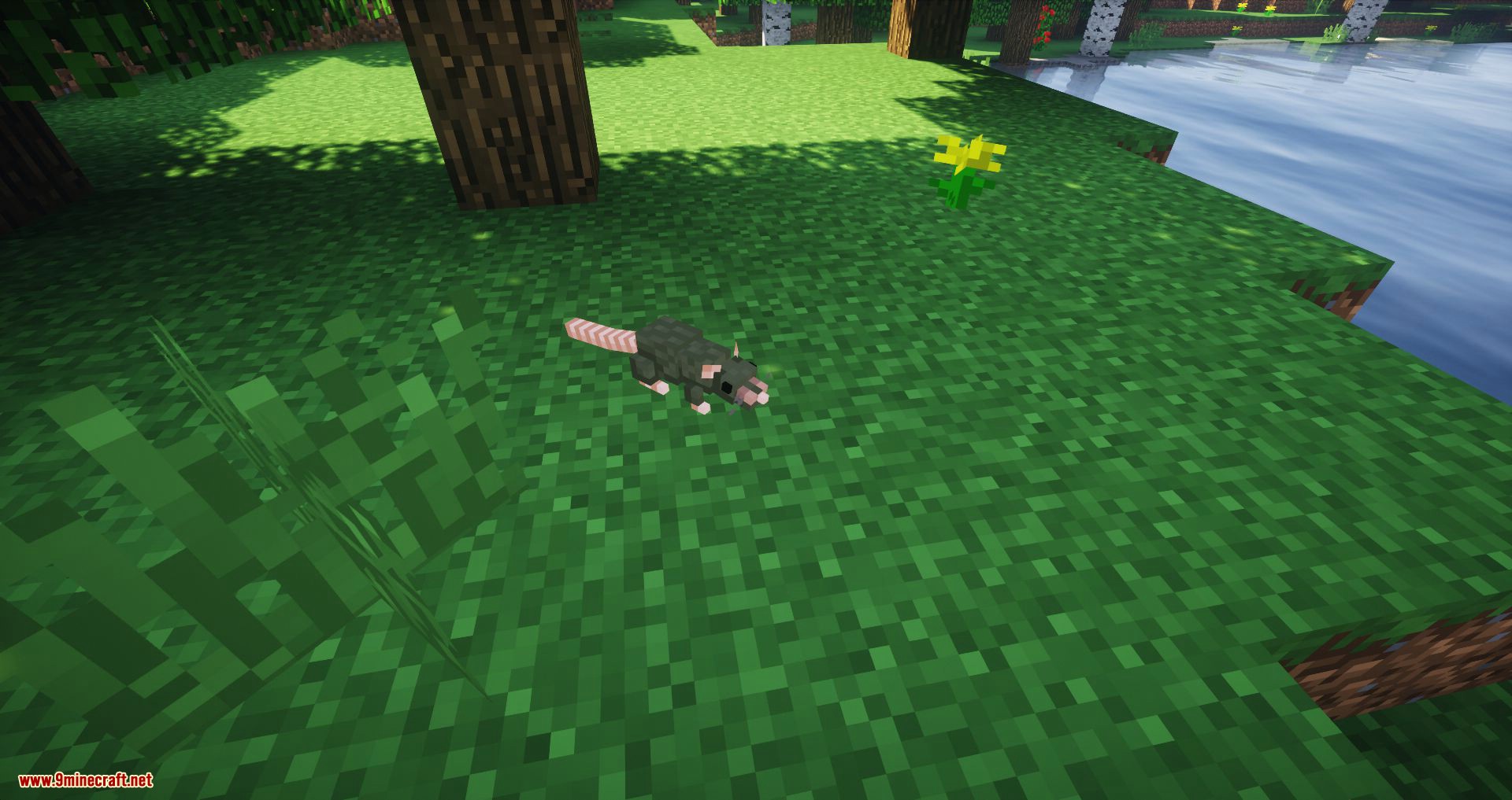 Rats mod for minecraft 01