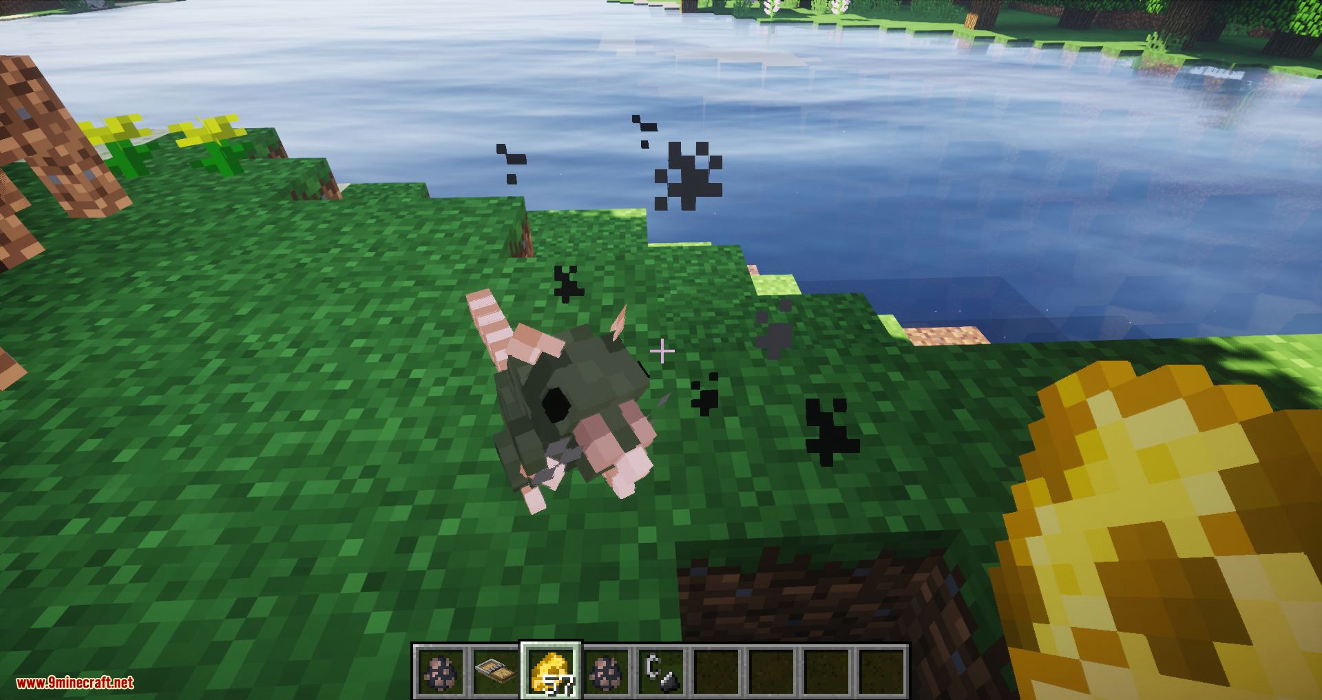 Rats mod for minecraft 08