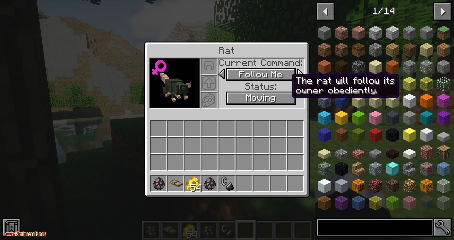 Rats mod for minecraft 10