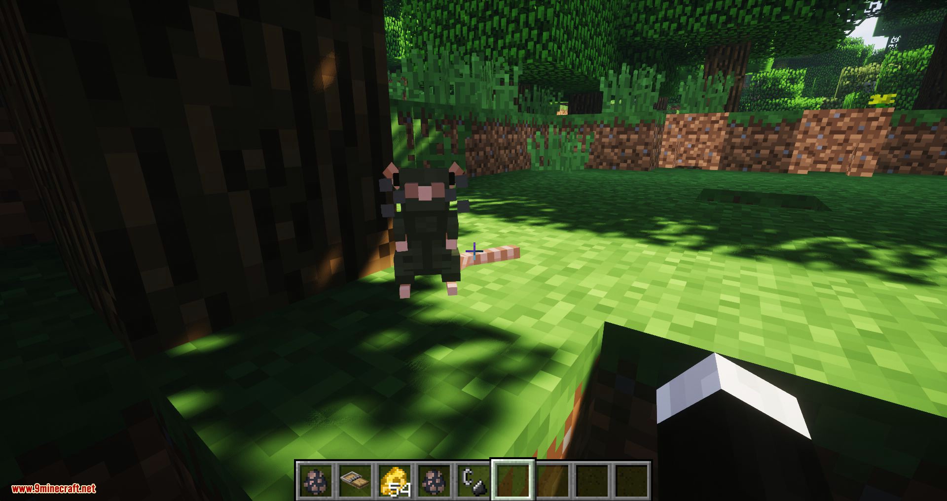 Rats mod for minecraft 11
