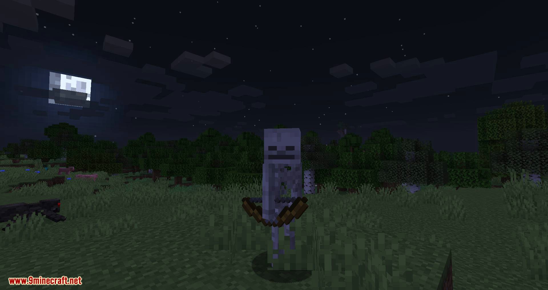 Stray Spawn mod for minecraft 02