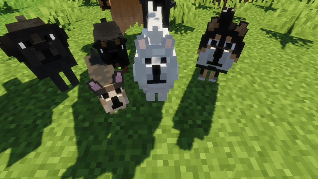 Better Dogs Resource Pack 1.16.5/1.15.2 - Minecraft Resource Packs