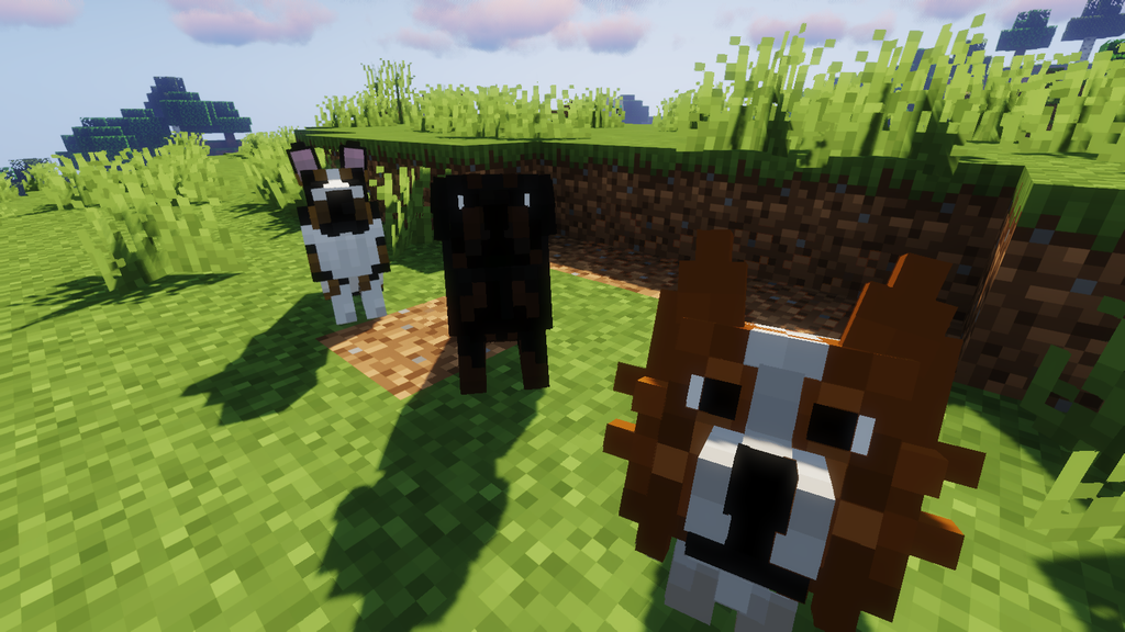 Better Dogs Resource Pack Screenshots 1