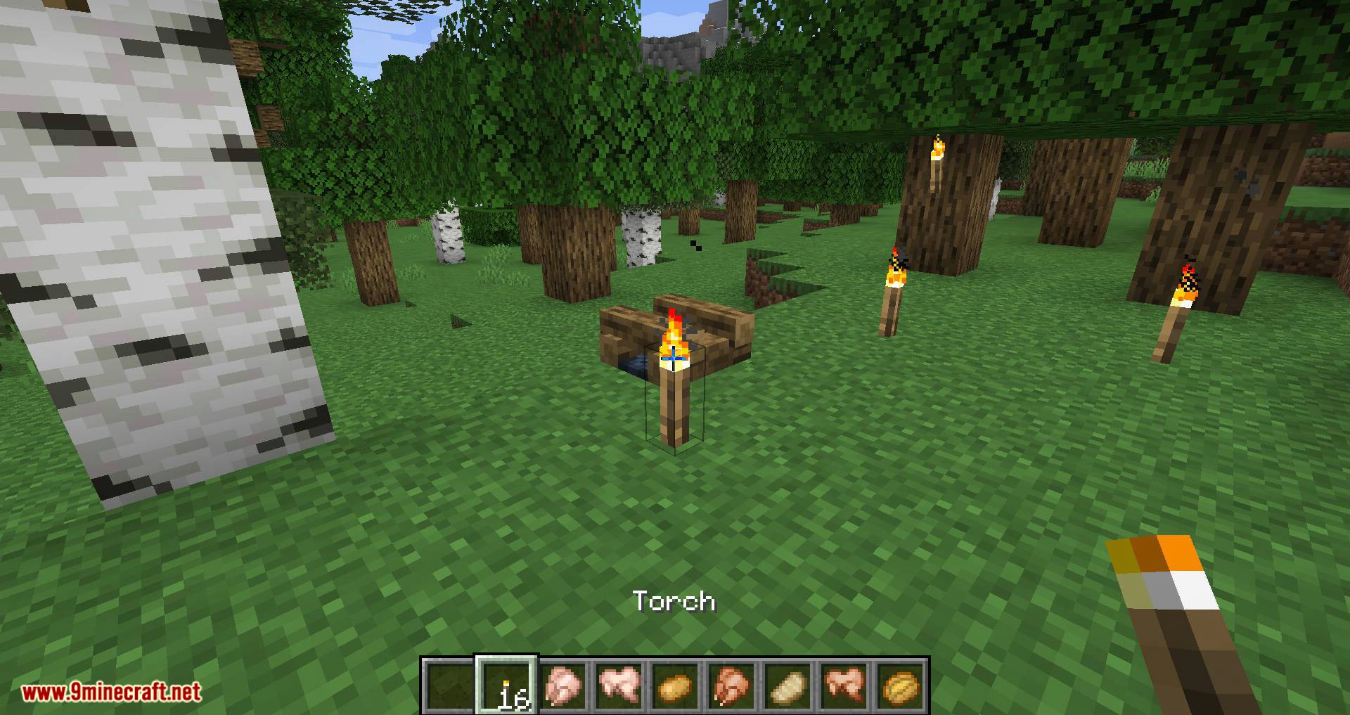 Campfire Torches mod for minecraft 10