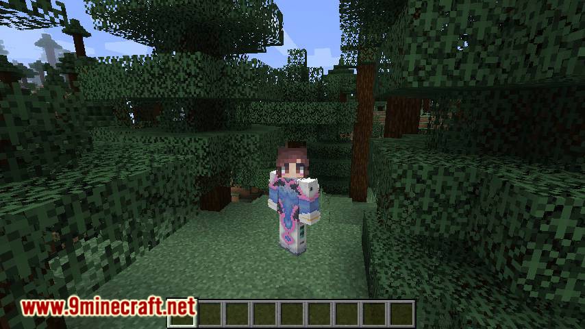 Custom Skin Loader mod for minecraft 09