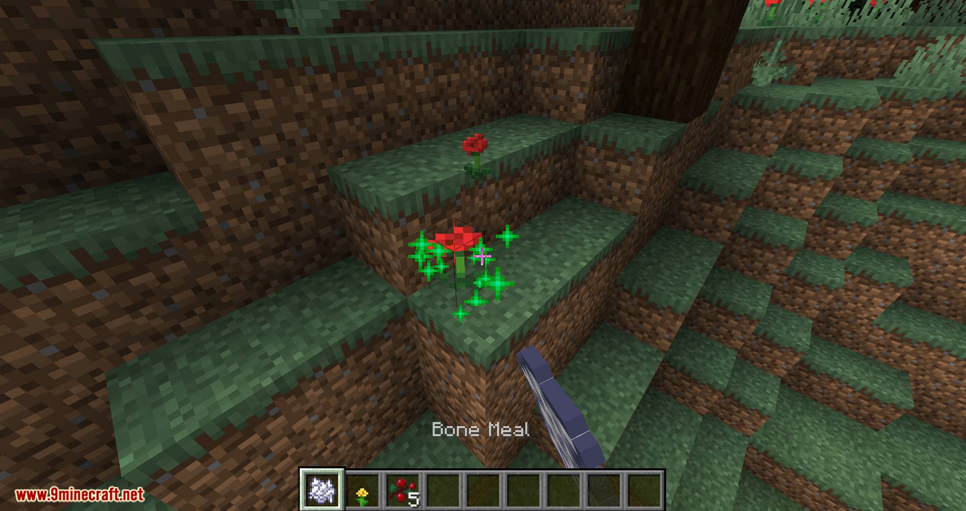 Flora Doubling mod for minecraft 06