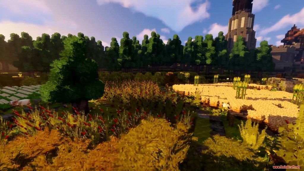 Winthor Medieval Resource Pack Screenshots 3