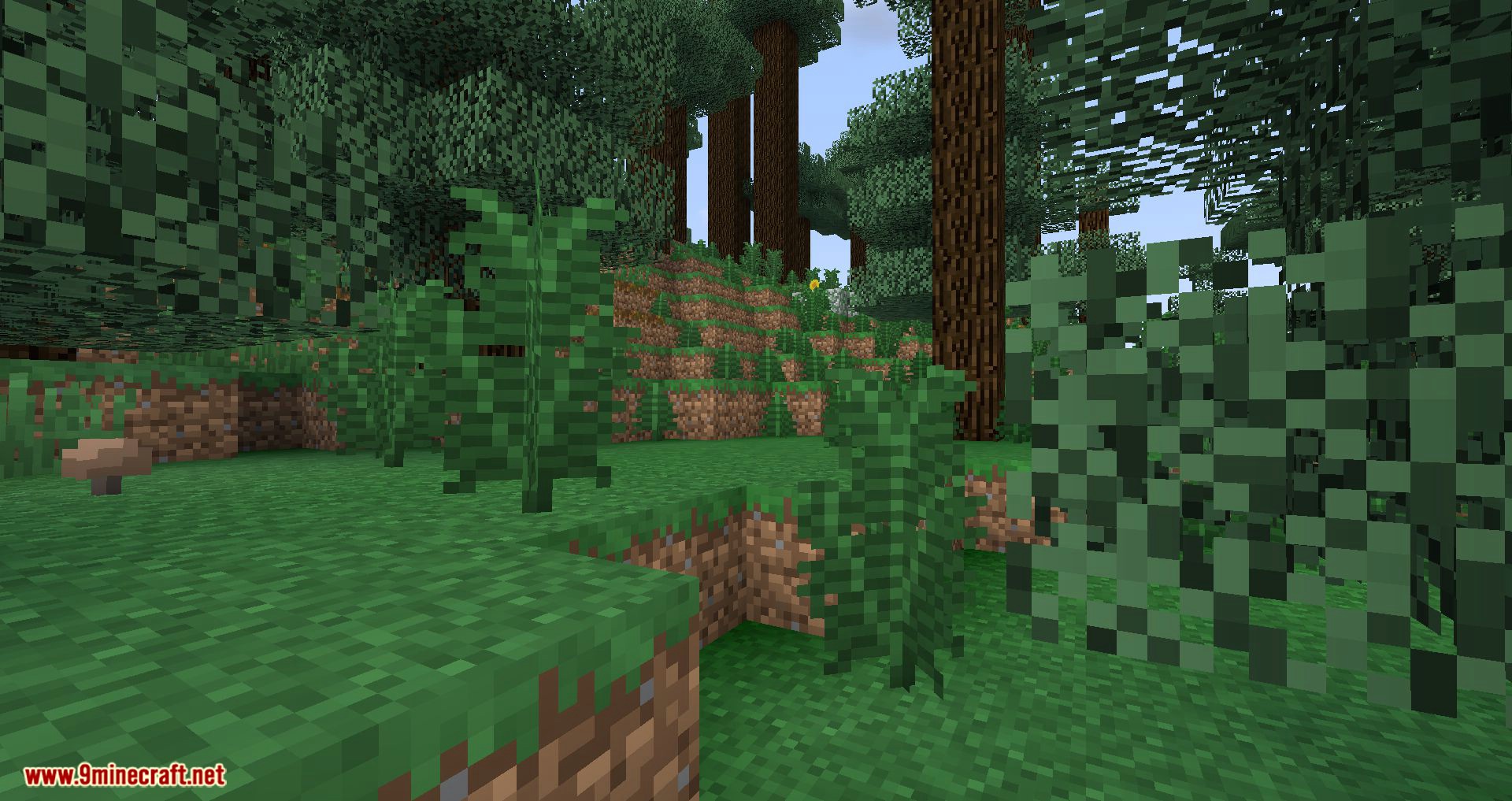 Builder_s Quality of Life Shaders for minecraft 02