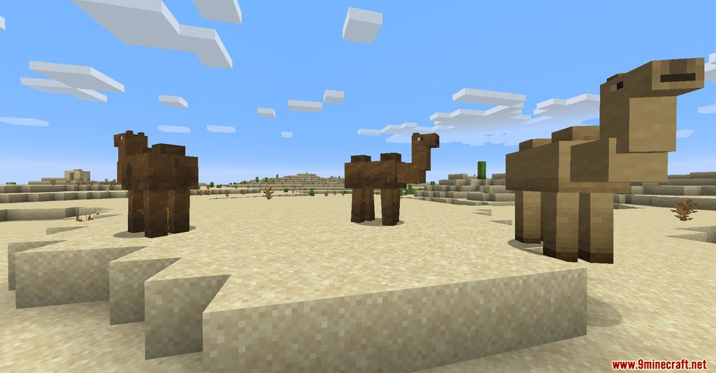 Camels Mod Screenshots 1
