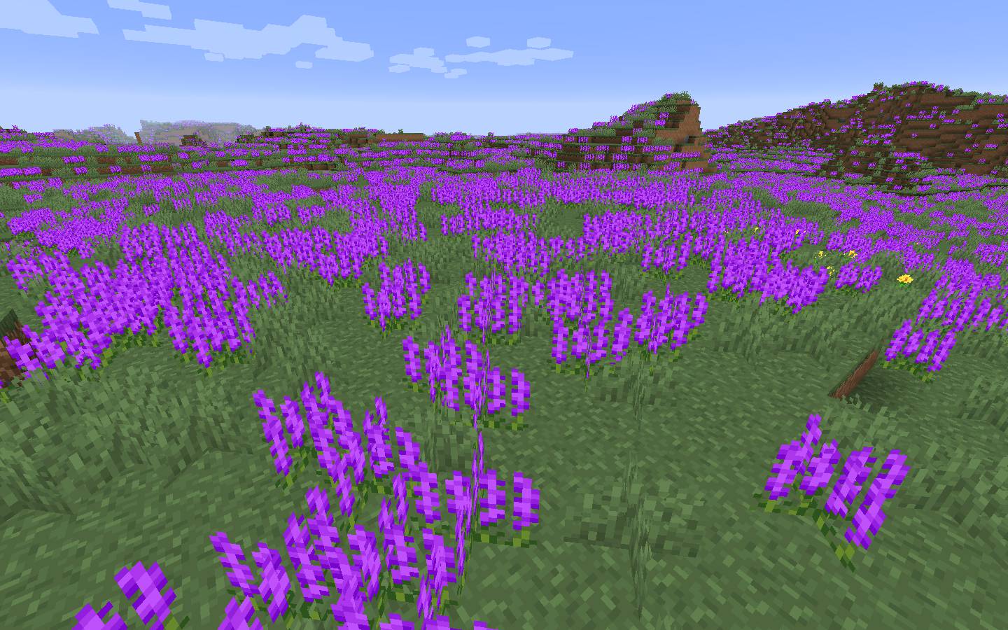 Enhanced Vanilla mod for minecraft 21