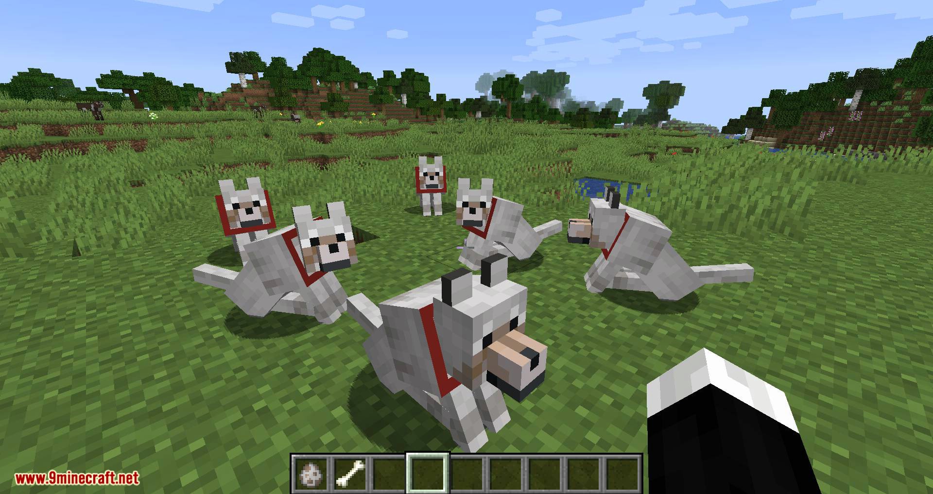 Моды let do. Let sleeping Dogs Lie Mod. Майнкрафт мод Оверлорд. Dogs Mod Minecraft 1.16.5. Dog Mod Minecraft for Android.