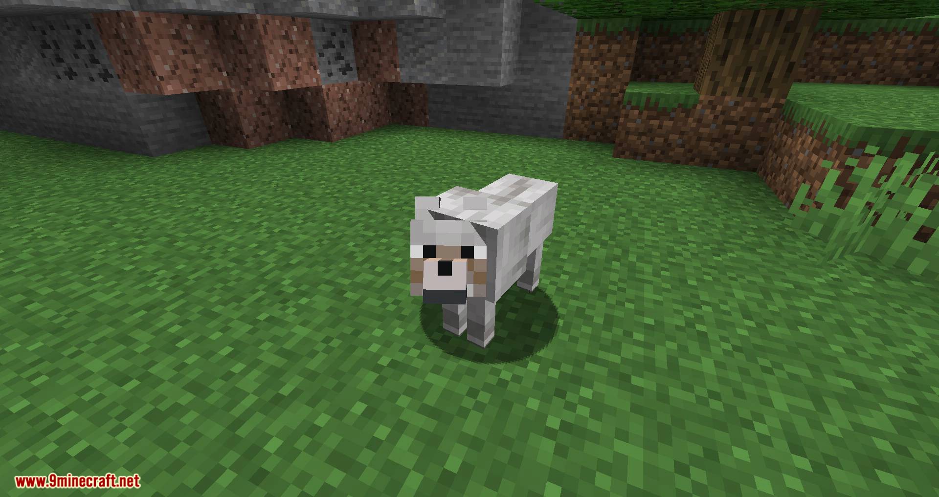 Pet Your Wolf mod for minecraft 01