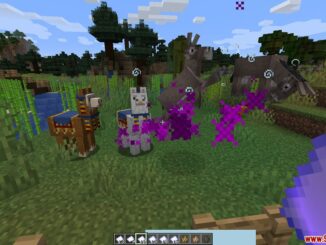 Name Tweaks Mod 1 16 5 1 15 2 Minecraft Mod Download Name Tweaks Mod 1 16 5 1 15 2 Minecraft Mod Download