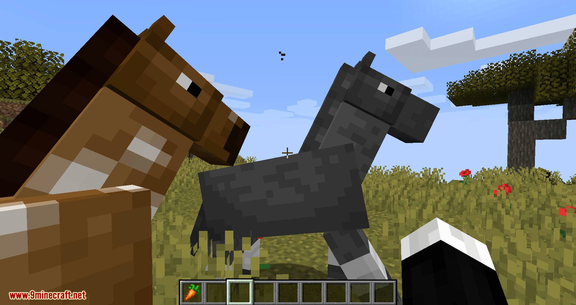Stupid Horse Stand Still mod for minecraft 03