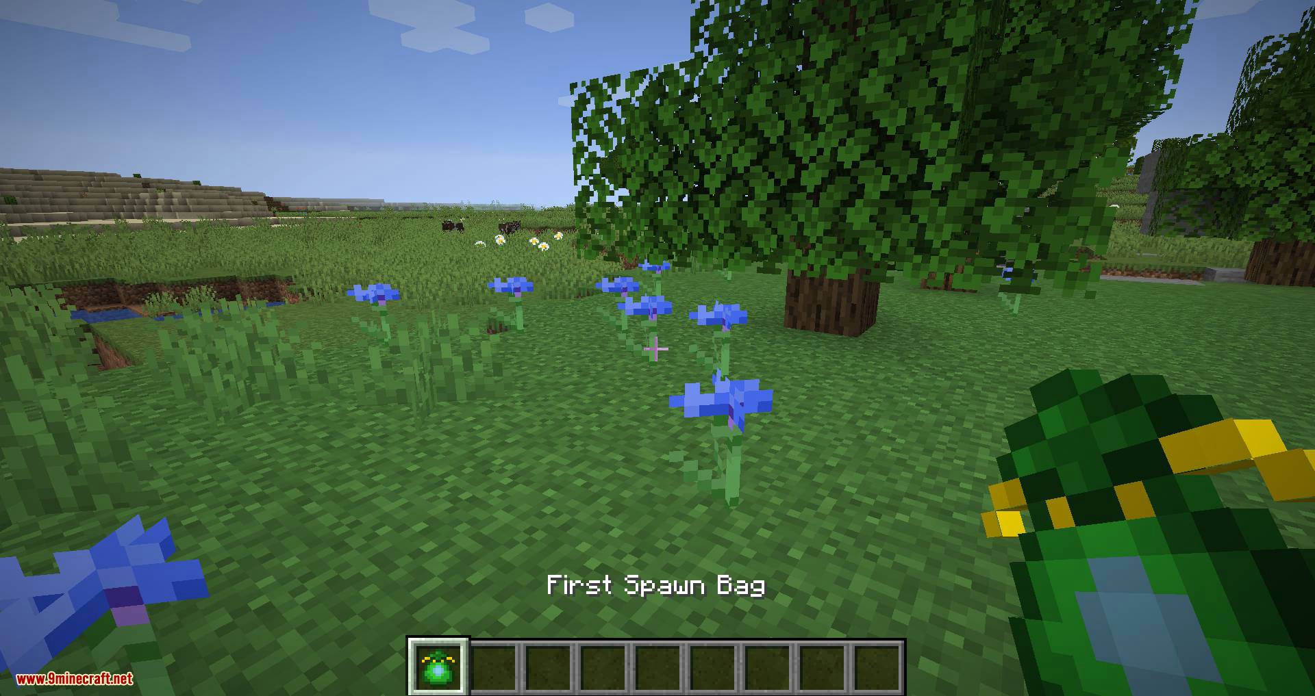 Treasure Bags mod for minecraft 01