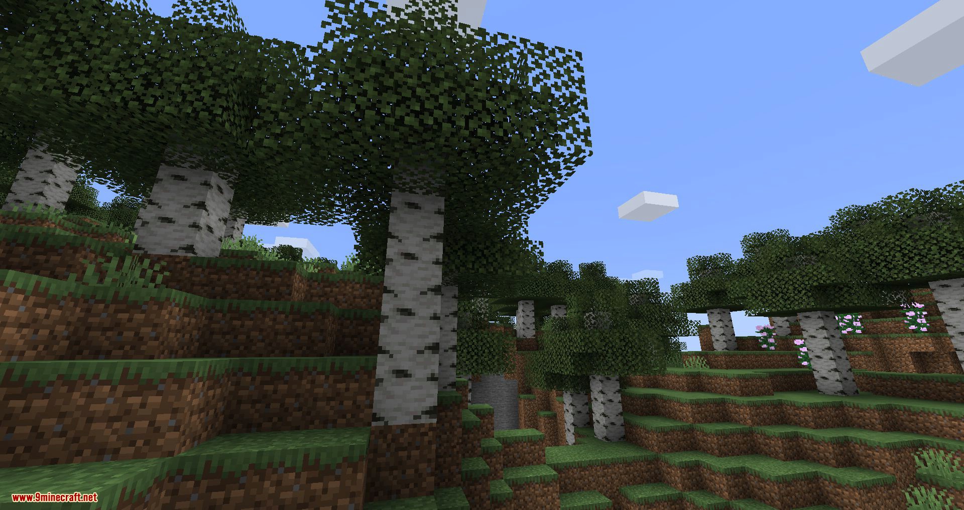Trees Do Not Float mod for minecraft 01