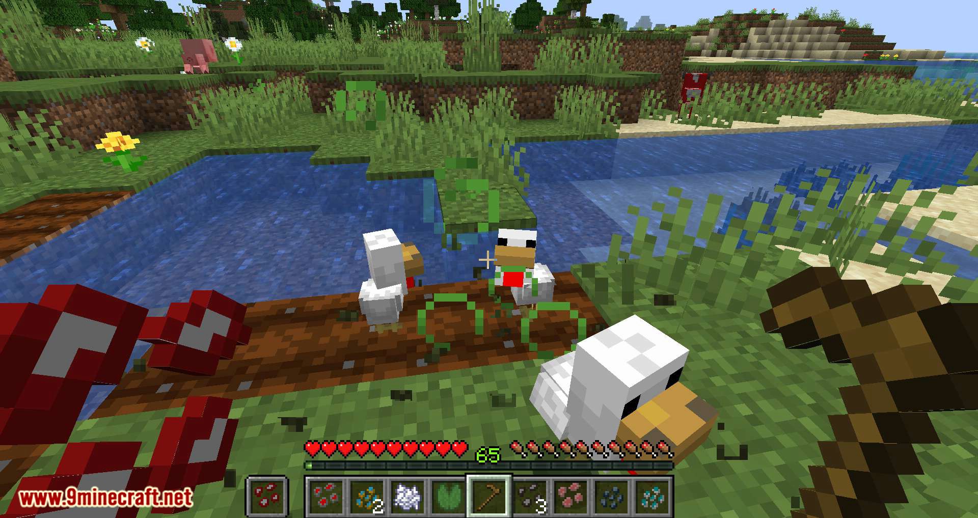 Animal Crops mod for minecraft 12
