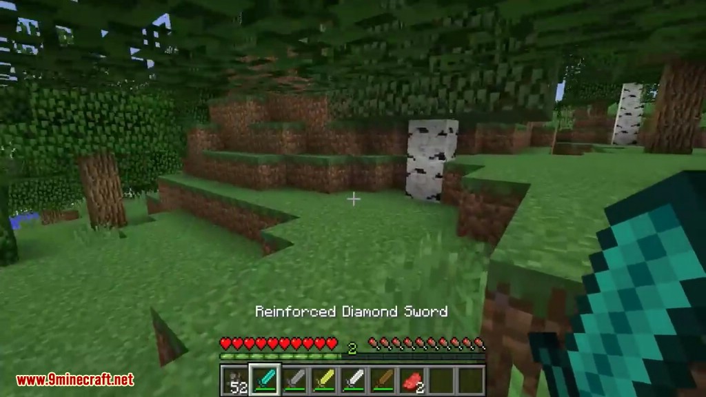 Reinforced Diamond Sword Mod Screenshots 6