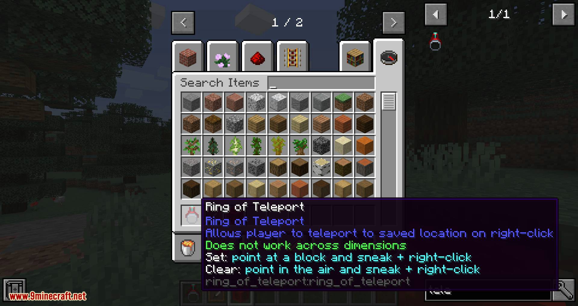 Ring of Teleport mod for minecraft 01