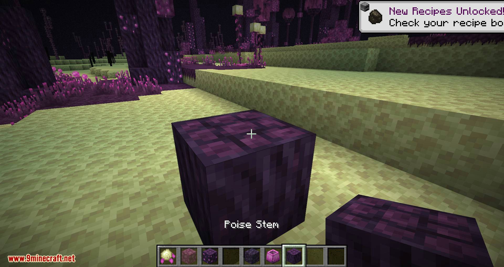 The Endergetic Expansion mod for minecraft 06