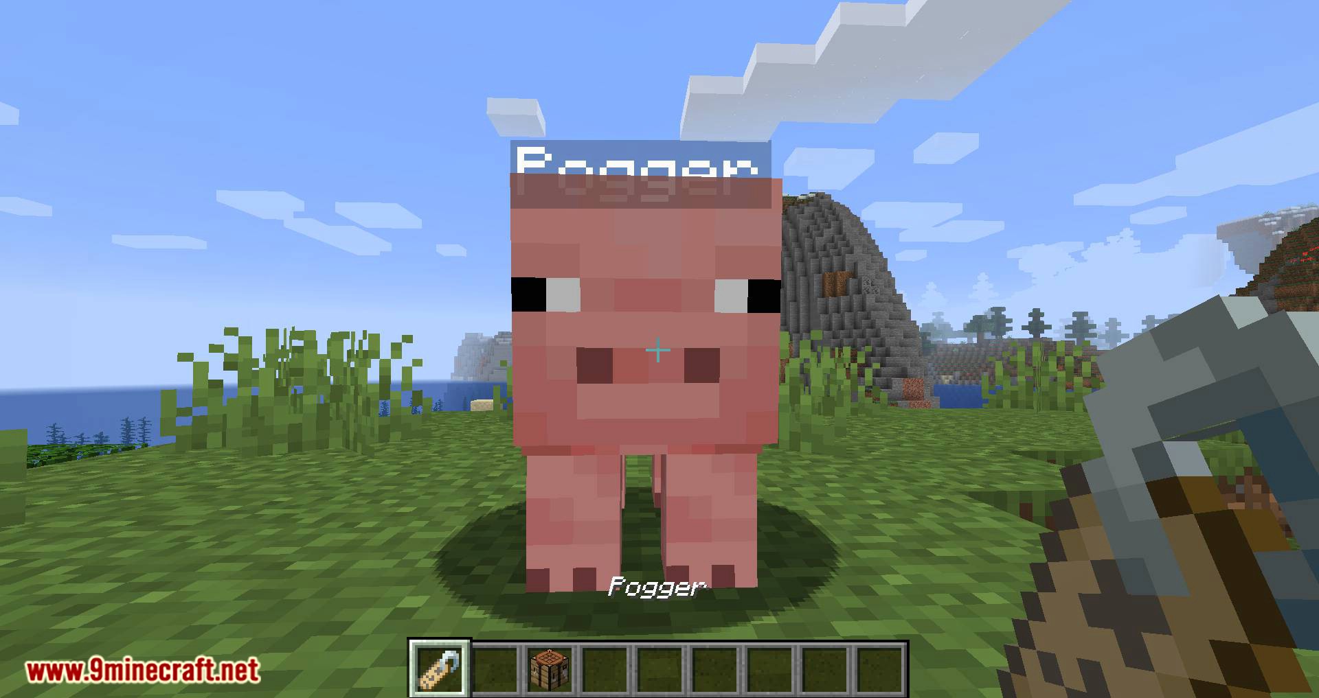 Name Tag Tweaks mod for minecraft 06
