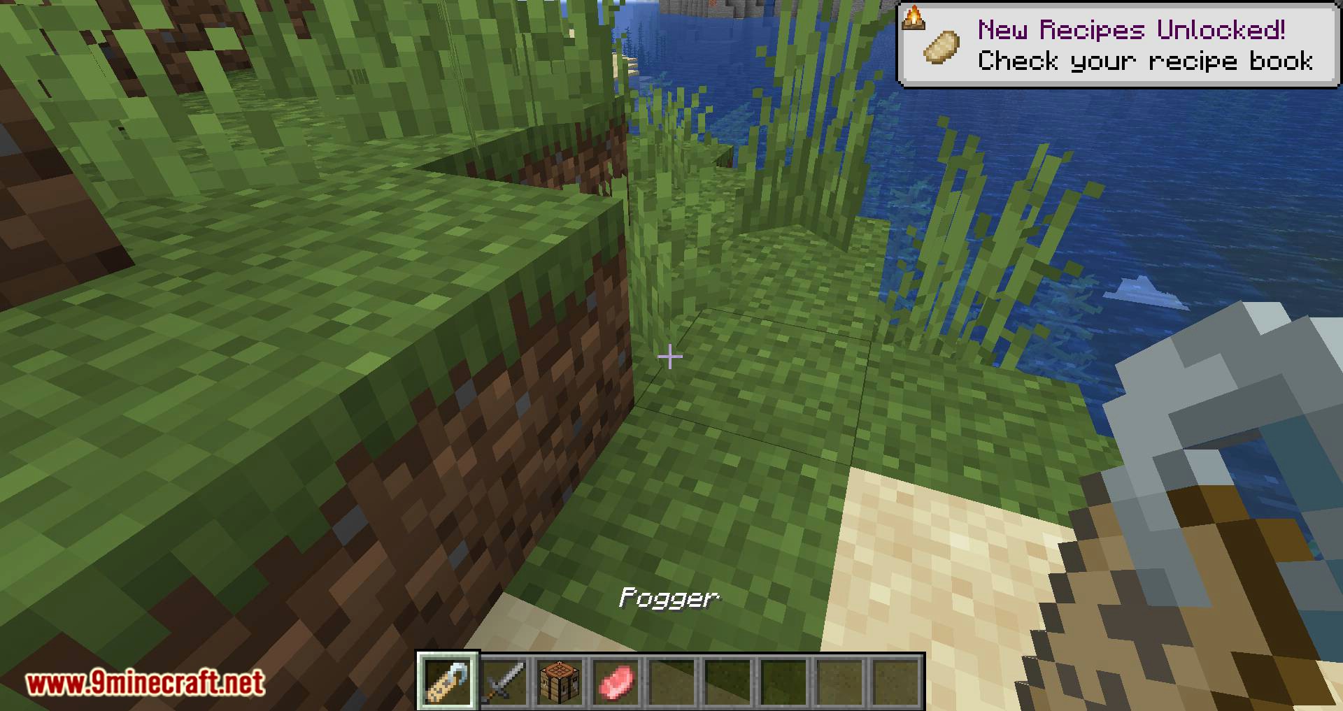 Name Tweaks Mod 1 16 5 1 15 2 Minecraft Mod Download Name Tweaks Mod 1 16 5 1 15 2 Minecraft Mod Download