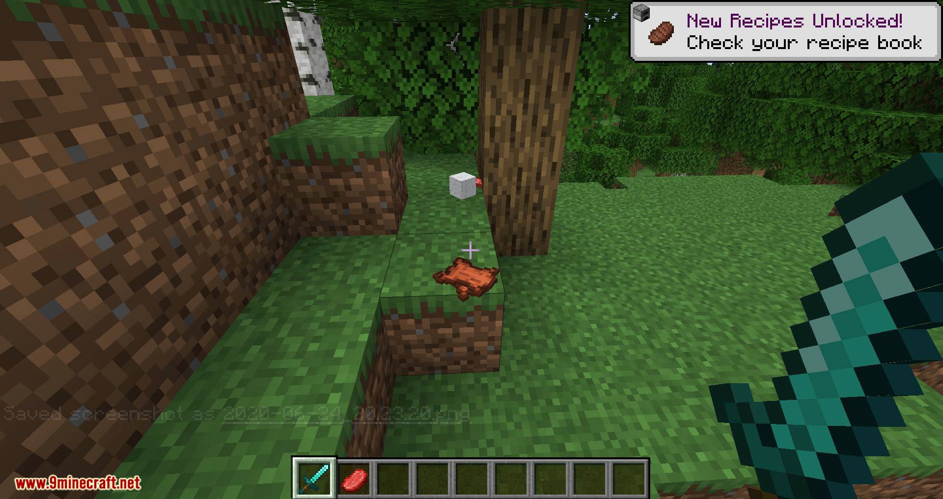 Better Dropped Items mod for minecraft 04