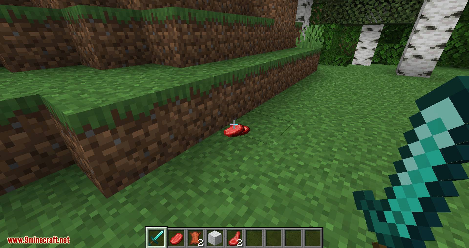Better Dropped Items mod for minecraft 05