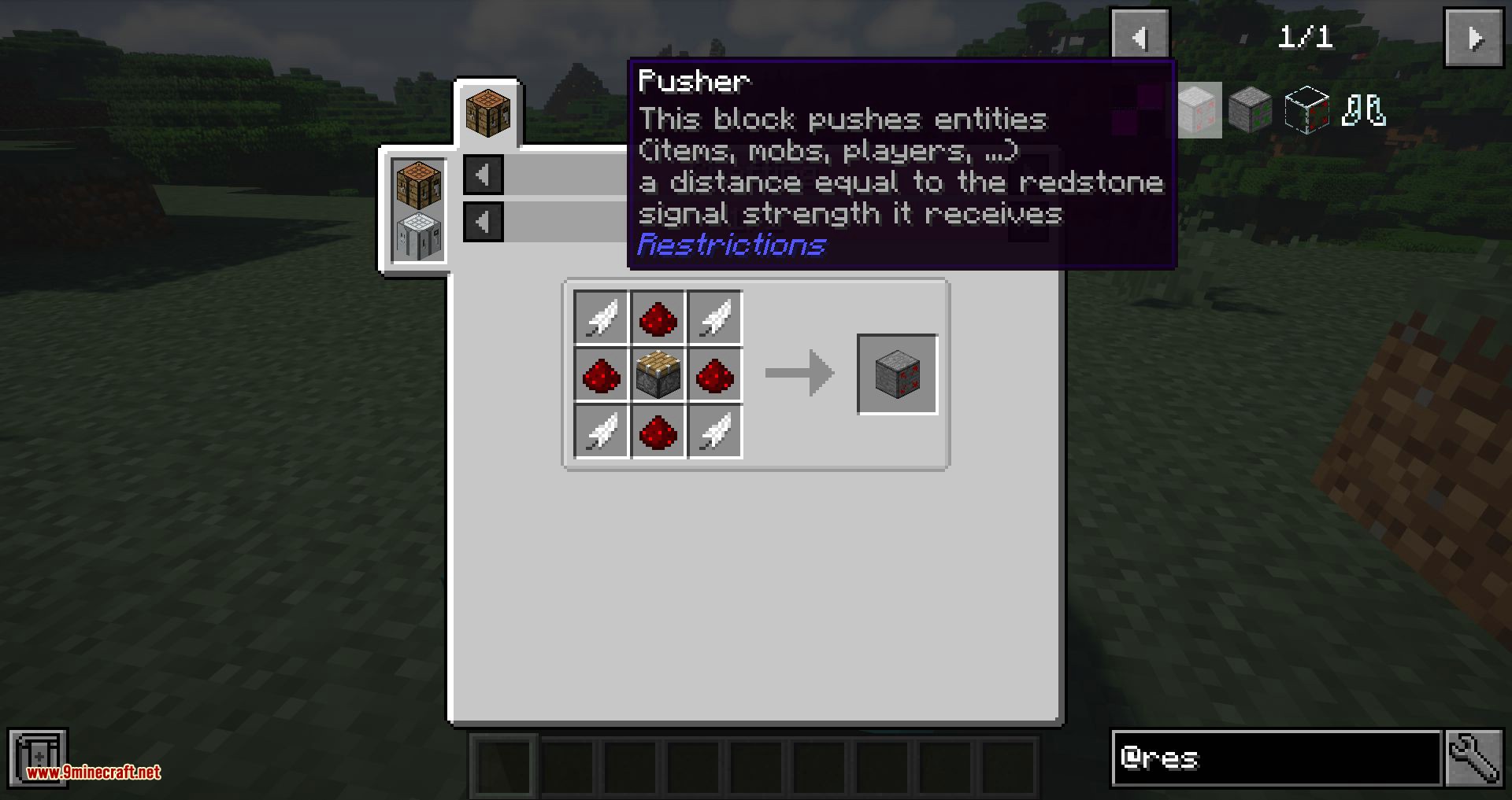 Restrictions mod for minecraft 11