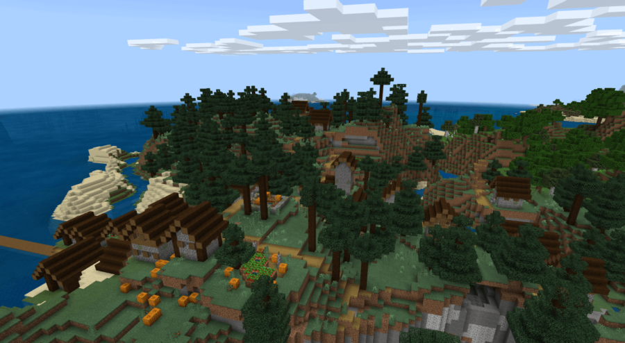 5 best Minecraft seeds for villages in 1.17 Pocket Edition