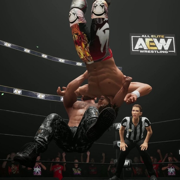 AEW Fight Forever Finishing Moves