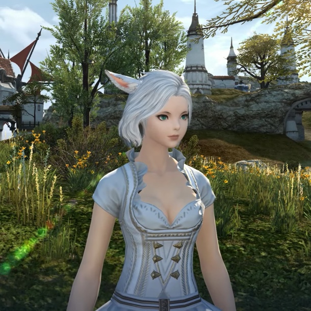 FFXIV Ambitious Ends Hairstyle