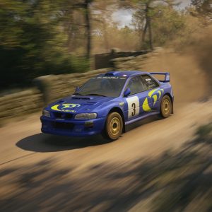Controller Settings EA Sports WRC