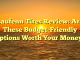 Laufenn Tires Review: Are These Budget-Friendly Options Worth Your Money?