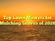Top Lawn Mowers for Mulching Leaves of 2026
